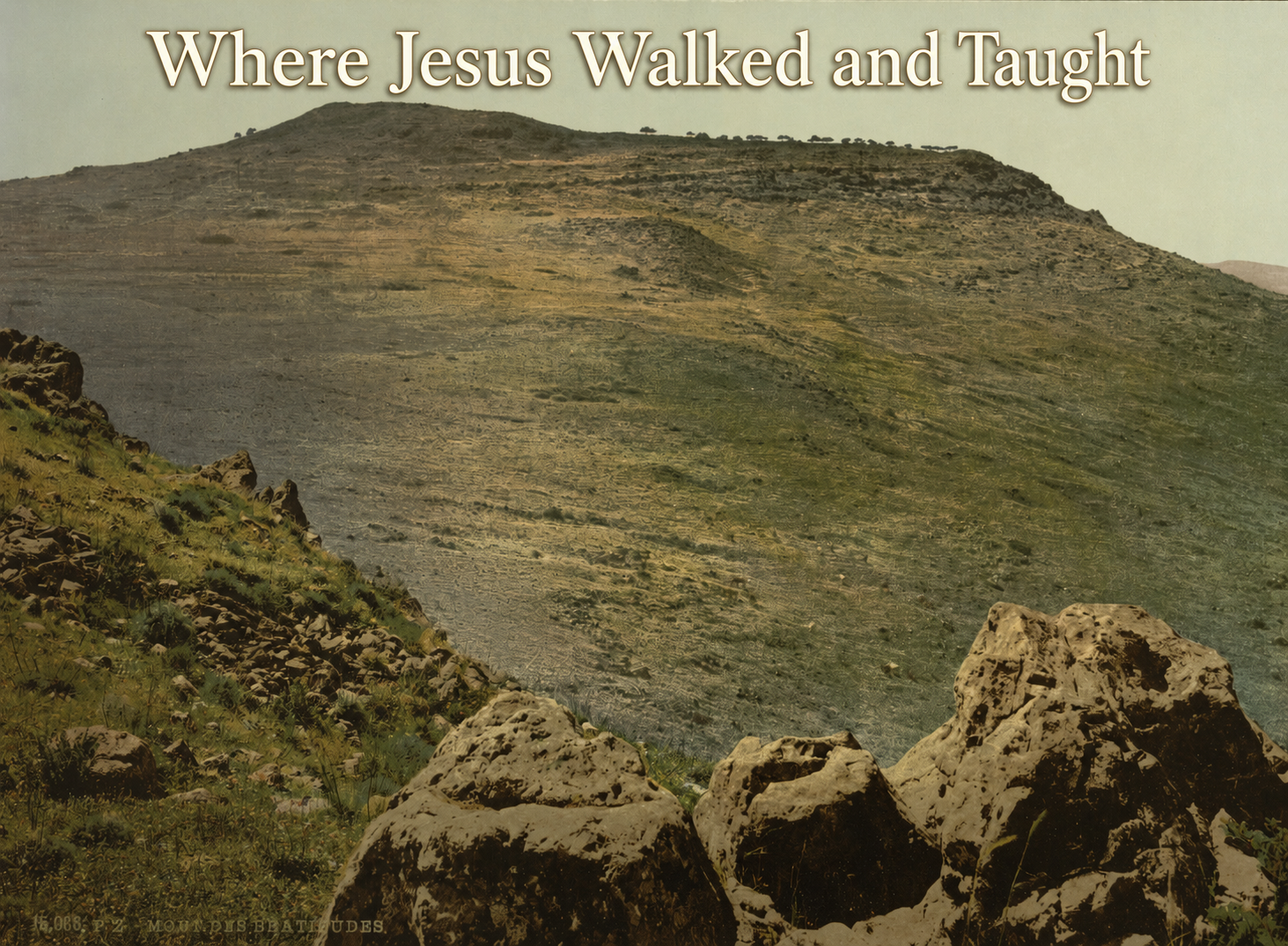 Mount of Beatitudes 30 - Where Jesus Walked and Taught
